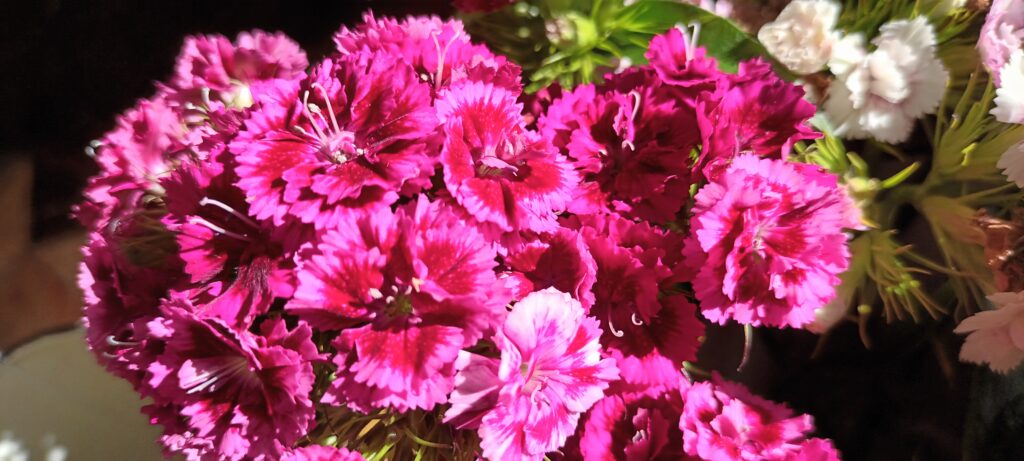 Flowers for interiors and creating a home lifestyle. Traditional farmhouse look. Idea for a tablescape.