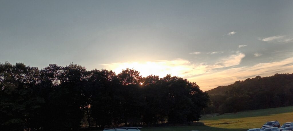 Evening Sunset, trees and a sky.
